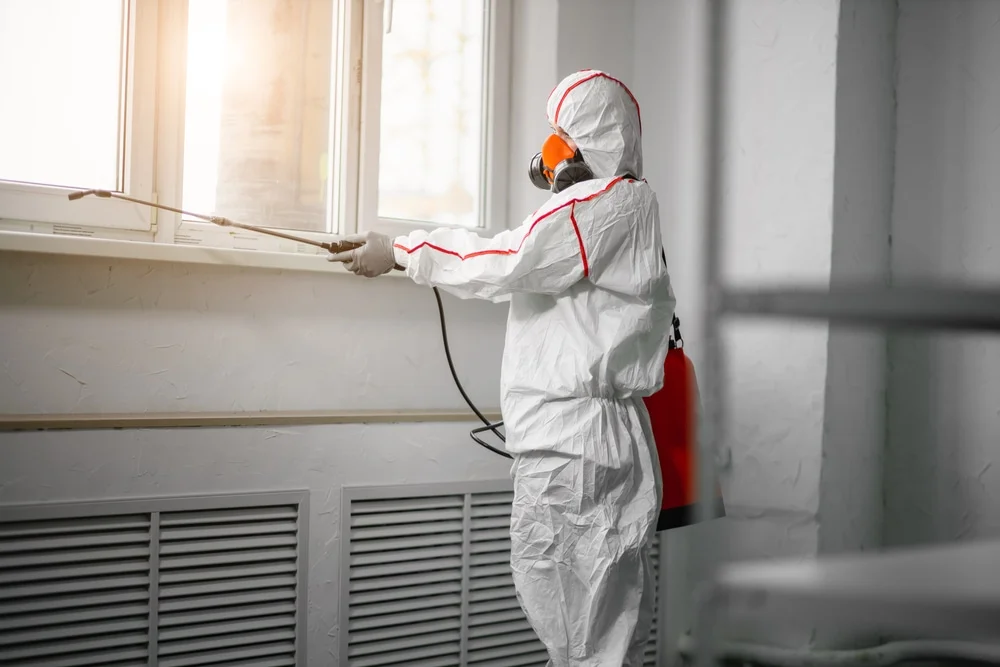 Professional mold remediation services in North Myrtle Beach, SC